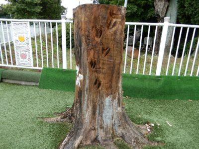 ⑨チェーンソー